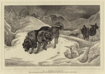 En mission de miséricorde
